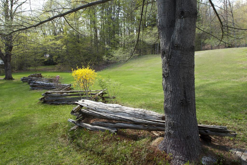 Inn On Golden Pond Holderness Extérieur photo